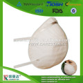 Anti Dust CE Filter N95 Disposable Non Woven Face Mask